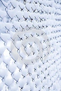 Mesh in winter on nature in park background