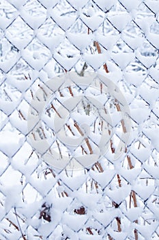 Mesh in winter on nature in park background