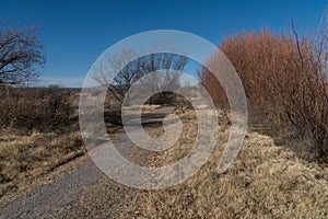 Mesilla Valley Bosque Park, New Mexico photo