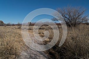 Mesilla Valley Bosque Park,Organ Mountain view photo