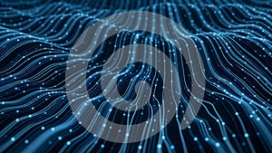 Digital Symphony of Light and Data Flow