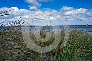 Mesmerizing Baltic sea behind the grass at the beach on Rugia Island, Germany