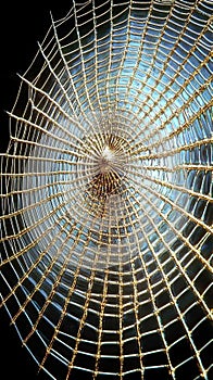 Futuristic Metallic Spider Web Design Glowing Against a Plain Black Background in a Chrome Art Style photo