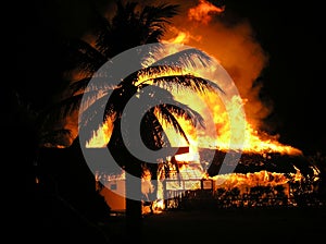 Mesmerizing fire in a tropics