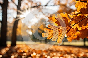 Mesmerizing golden oak tree leaves dancing in the enchanting sunlight of a peaceful day