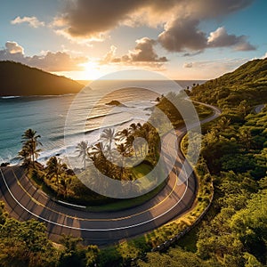 Serenity Unveiled: Coastal Road Embraced by Palm Trees, Turquoise Ocean, and Golden Sunset photo