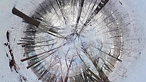 Mesmerizing Journey through a Snowy Forest A 360-Degree Winter Wonderland Experience