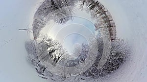 Mesmerizing Journey through a Snowy Forest A 360-Degree Winter Wonderland Experience