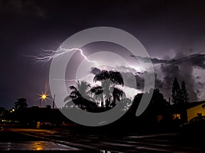 Mesmerizing lightning over palm trees at night