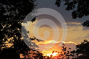 Mesmerizing Multi Colored Sunset behind a Silhouette of Tree Leaves