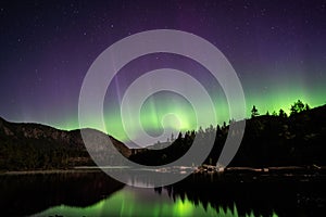 Mesmerizing scene of Norwegen Fjord Polarlichter with silhouette trees in Norway photo