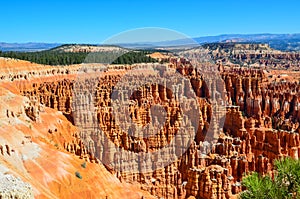 Mesmerizing shot of Bryce Canyon National Park at Navajo Loop Trail, Utah, USA