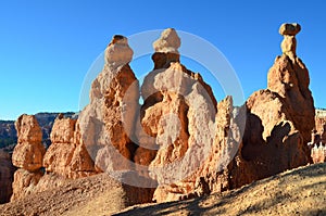 Mesmerizing shot of Bryce Canyon National Park at Navajo Loop Trail, Utah, USA