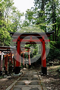 Mesmerizing shot of famous torii gates in Fushimi Inari Shrine, Kyoto, Japan