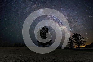 Mesmerizing starry night sky over the valley with trees