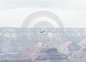 Mesmerizing view of an eagle flying over Grand Canyon in Arizona