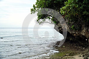 Mesmerizing view of a rock formation with dense vegetation over the sea water against a cloudy sky