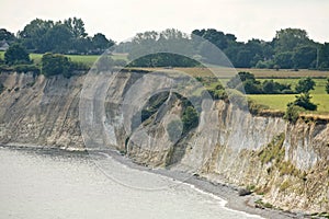 Mesmerizing view of the Stevns Klint cliff at daytime in Denmark