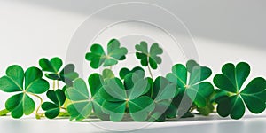 Mesmerizingly Sharp Shamrocks in Vivid Hues