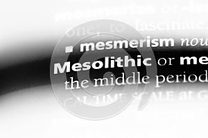 mesolithic