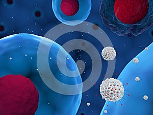 Mesoporous silica nanoparticles