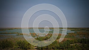 Mesopotamian Marshes, habitat of Marsh Arabs aka Madans Basra Iraq