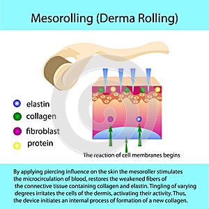 Mesorolling process with a describtion and cell structure
