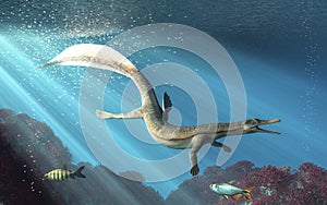 Mesosaurus