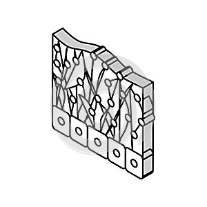 mesothelium health problem isometric icon vector illustration