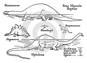 Mesozoic Age Reptiles, vintage illustration