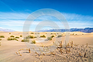 Mesquite Flat Sand Dunes