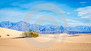 Mesquite Flat Sand Dunes