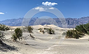 Mesquite Flat Sand Dunes, Death Valley