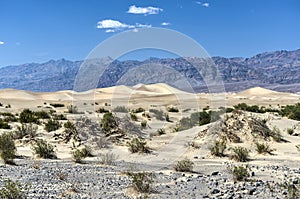 Mesquite Flat Sand Dunes, Death Valley