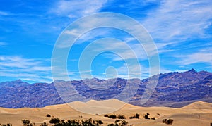 Mesquite Flat Sand Dunes Death Valley