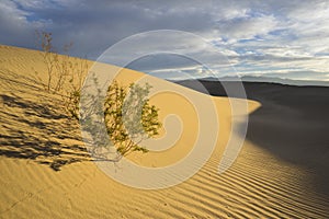 Mesquite Flat Sand Dunes,  Death Valley, California