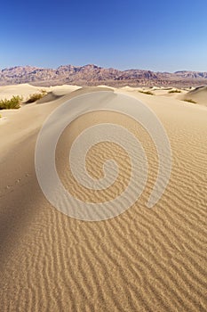 Mesquite Flat Sand Dunes in Death Valley National Park