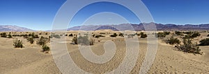 Mesquite flat sand dunes desert in Death Valley