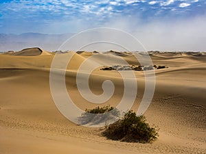 Mesquite Flats Sand Dune - Death Valley National Park