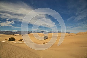 Mesquite Flats Sand Dunes Death Valley National Park California