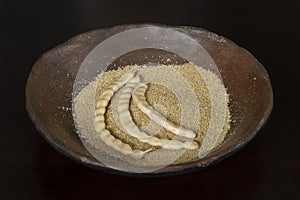 Mesquite flour and pods in rustic ceramic plate