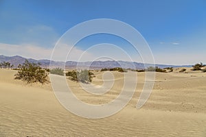 Mesquite Sand Dunes