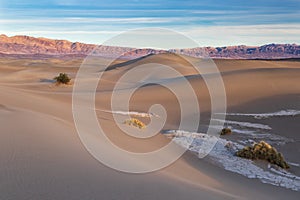 Mesquite Sand Dunes, Death Valley, California. Plants and minerals in foreground. Mountains, blue sky and clouds in distance.