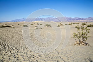 Mesquite Sand Dunes - Death Valley National Park