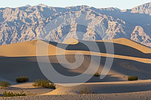 Mesquite Sand Dunes - Death Valley National Park