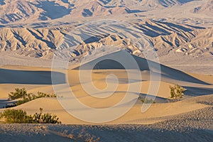 Mesquite Sand Dunes - Death Valley National Park