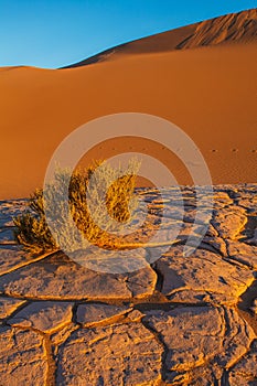 Mesquite Sand Dunes Death Valley National Park
