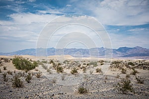 Mesquite Sand Dunes of Death Valley National Park in California in summer