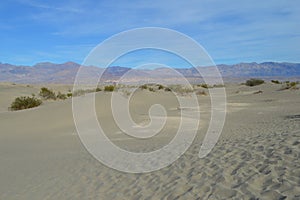 Mesquite Sand Dunes Death Valley Southern California