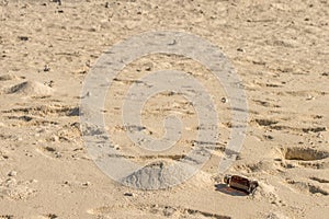 Message in a bottle abandoned on sandy beach